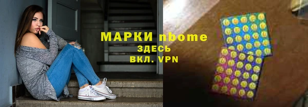 индика Алзамай