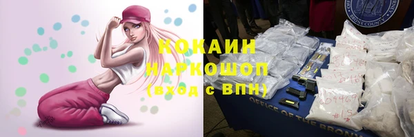 мет Алексин