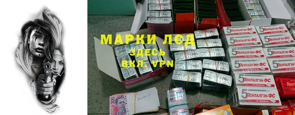 индика Алзамай