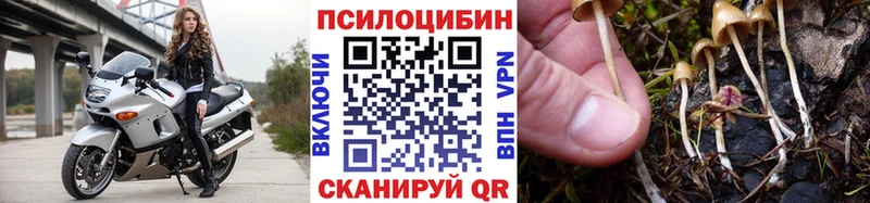 KRAKEN tor  купить  сайты  Симферополь  Псилоцибиновые грибы Psilocybe 