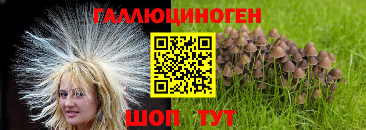 Галлюциногенные грибы Psilocybe  цены наркотик  Псилоцибиновые грибы Psilocybine cubensis  Симферополь  Вход с VPN 